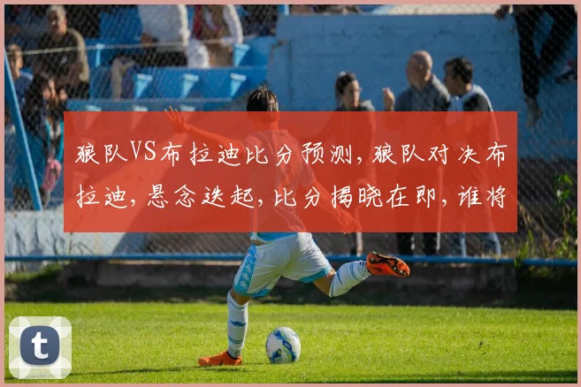 狼队VS布拉迪比分预测,狼队对决布拉迪,悬念迭起,比分揭晓在即,谁将笑到最后