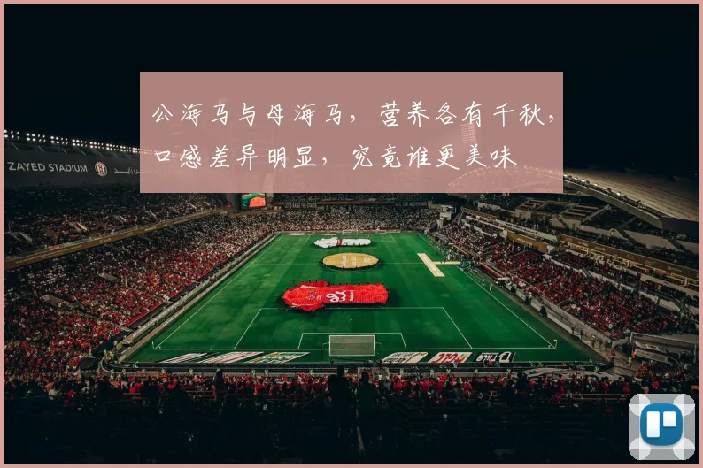 公海马与母海马，营养各有千秋，口感差异明显，究竟谁更美味